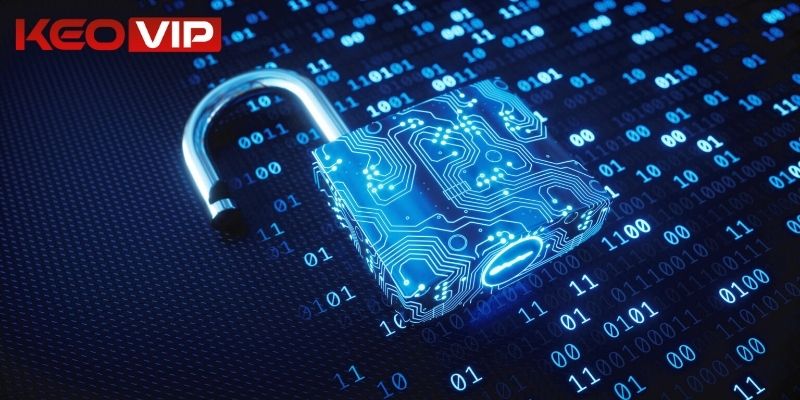 Nắm vững điều khoản để tham gia mượt mà 