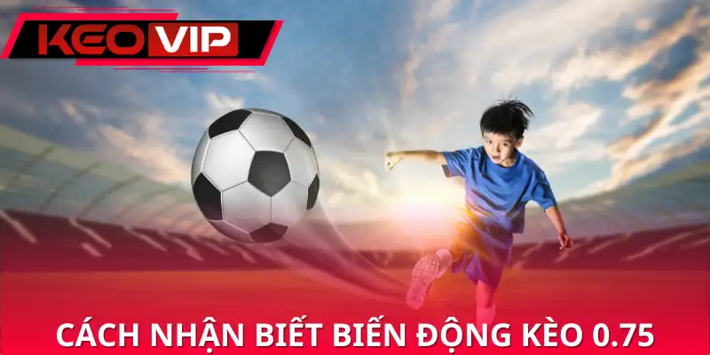 Cách nhận biết biến động kèo 0.75 an toàn