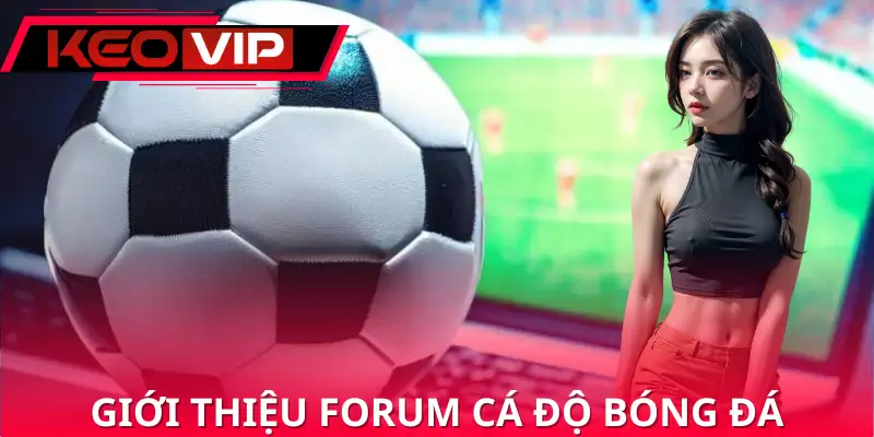 Forum cá độ bóng đá là cầu nối gắn kết cộng đồng.