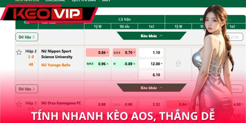 Cách tính tiền cược kèo aos là gì