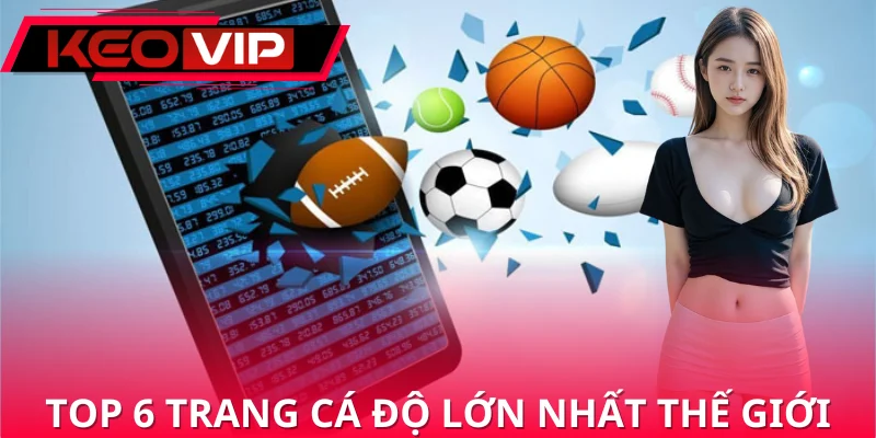 Chia sẻ các trang cá độ bóng đá lớn nhất thế giới