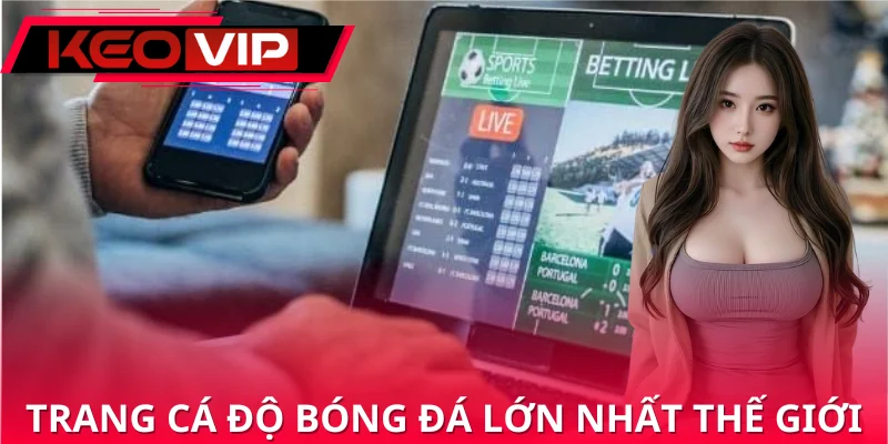 Trang Cá Độ Bóng Đá Lớn Nhất Thế Giới